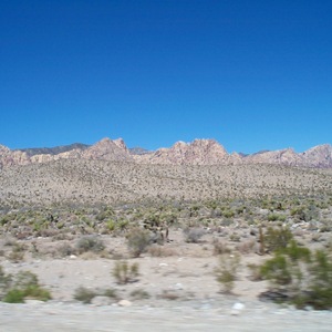 dcp_0219.jpg