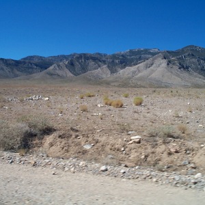 dcp_0222.jpg