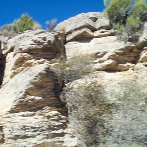 dcp_0225.jpg
