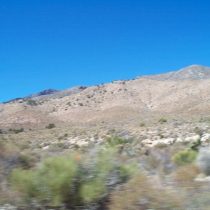 dcp_0226.jpg