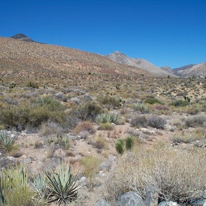 dcp_0228.jpg