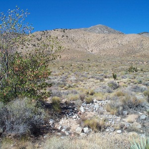 dcp_0229.jpg
