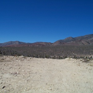 dcp_0239.jpg