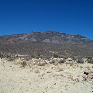 dcp_0240.jpg