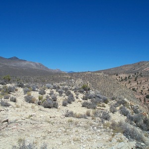 dcp_0242.jpg