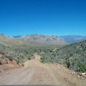 dcp_0245.jpg