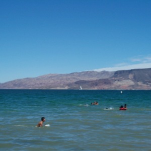 dcp_0254.jpg