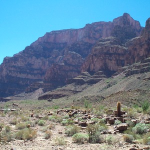 dcp_0265.jpg