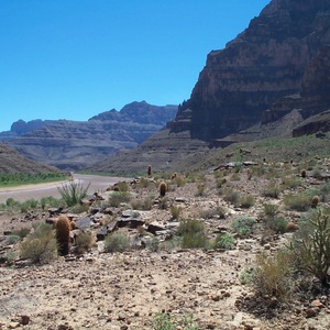 dcp_0267.jpg