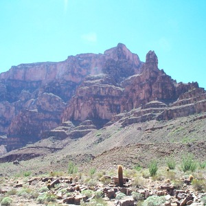 dcp_0269.jpg