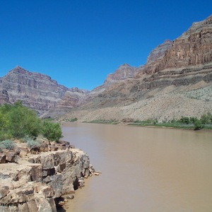 dcp_0276.jpg