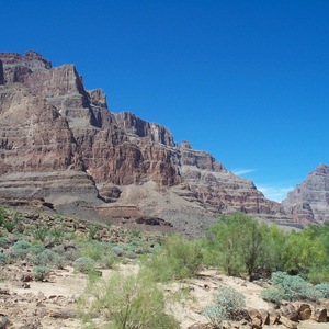 dcp_0279.jpg