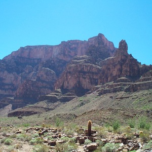 dcp_0280.jpg