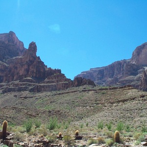 dcp_0281.jpg