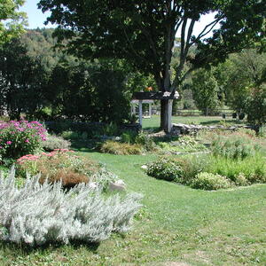 dscn0576.jpg