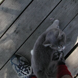 dscn0895.jpg