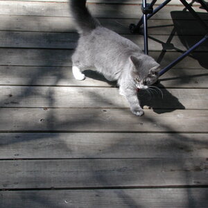 dscn0897.jpg
