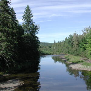 dscn0900.jpg