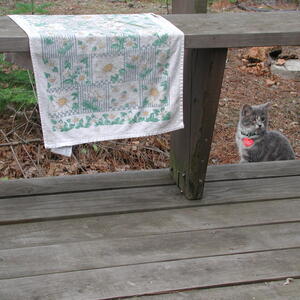 dscn0907.jpg