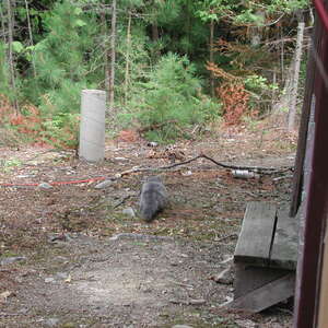 dscn0908.jpg