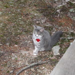 dscn0909.jpg