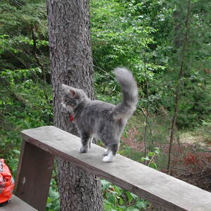dscn0910.jpg