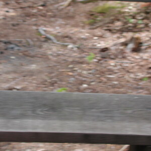 dscn0911.jpg