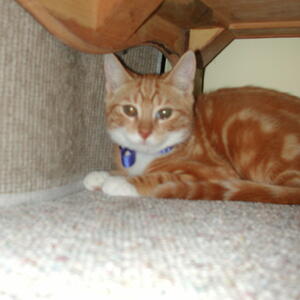 dscn0928.jpg