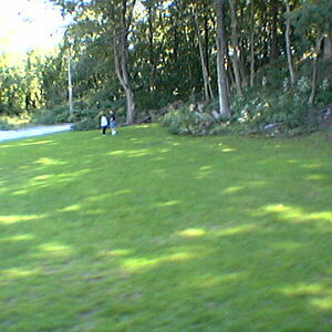 IMGA0028.jpg