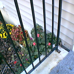 IMGA0030.jpg