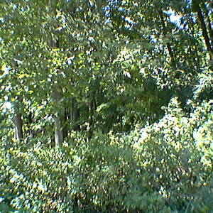 IMGA0034.jpg