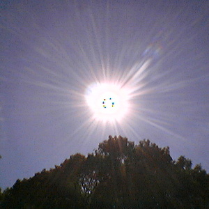 IMGA0039.jpg