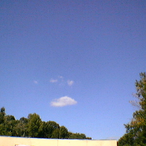 IMGA0041.jpg