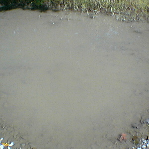 IMGA0042.jpg