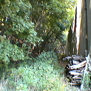 IMGA0044.jpg