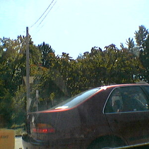 IMGA0055.jpg