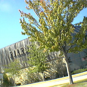 IMGA0074.jpg