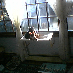 IMGA0205.jpg