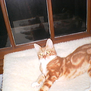 IMGA0221.jpg