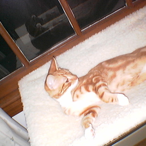 IMGA0222.jpg