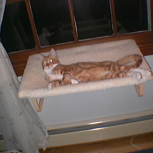 IMGA0223.jpg