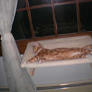 IMGA0224.jpg
