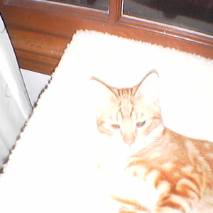 IMGA0225.jpg