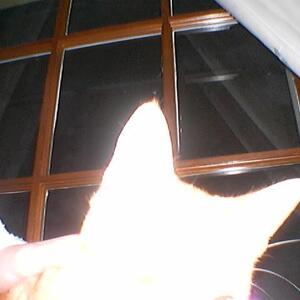 2002_New_camera_in_CT
