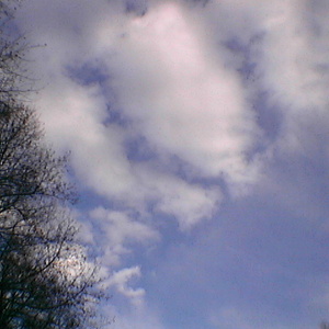 imga0234.jpg