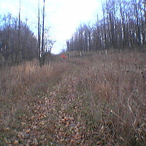 imga0235.jpg