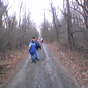imga0237.jpg
