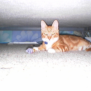 imga0148.jpg