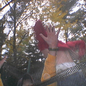 imga0182.jpg