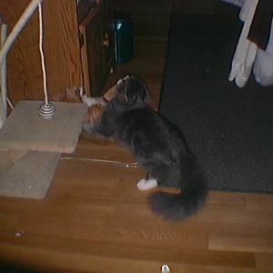 imga0193.jpg